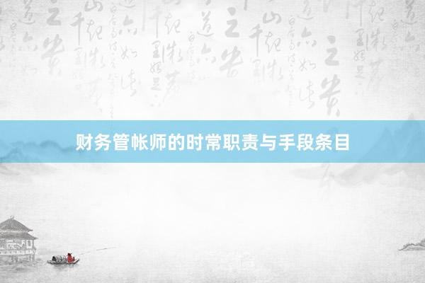 财务管帐师的时常职责与手段条目