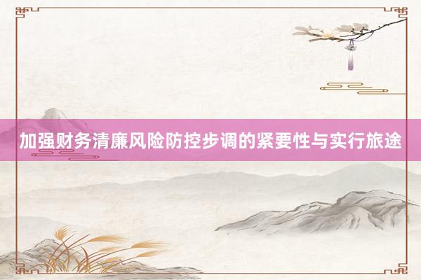 加强财务清廉风险防控步调的紧要性与实行旅途