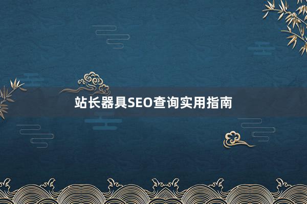 站长器具SEO查询实用指南