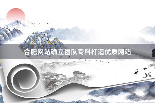 合肥网站确立团队专科打造优质网站