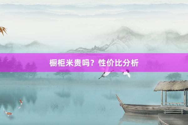 橱柜米贵吗？性价比分析